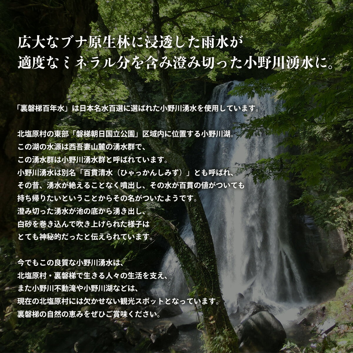 【ふるさと納税】裏磐梯百年水 ナチュラルミネラルウォーター（500ml×24本 1箱）【 ふるさと納税 人気 おすすめ ランキング ミネラルウォーター 裏磐梯百年水 日本名水百選 ペットボトル 小野川湧水 湧き水 自然の恵み 水 ミネラル 清水 福島県 北塩原村 送料無料 】KBJ010