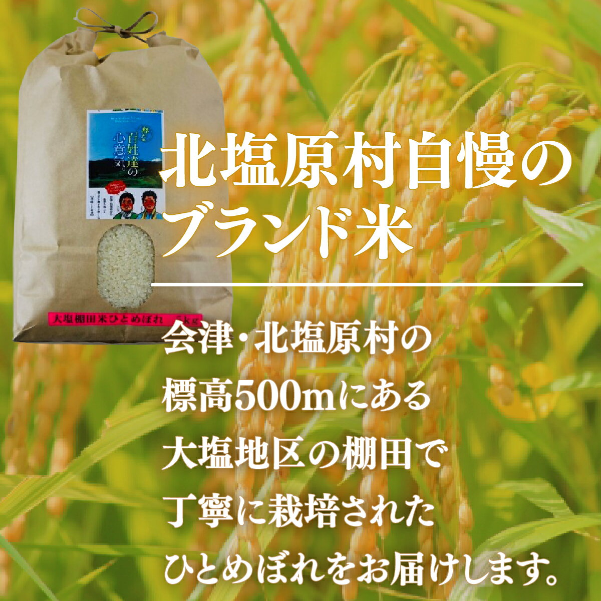 【ふるさと納税】【先行予約/令和7年産 新米】【12ヶ月定期便】会津・北塩原村産「ひとめぼれ」5kg×12回お届け(大塩棚田米・標高500m里山栽培） 【 ふるさと納税 人気 おすすめ ランキング ひとめぼれ 米 10kg 白米 お米 国産 定期便 福島県 北塩原村 送料無料 】 KBK017