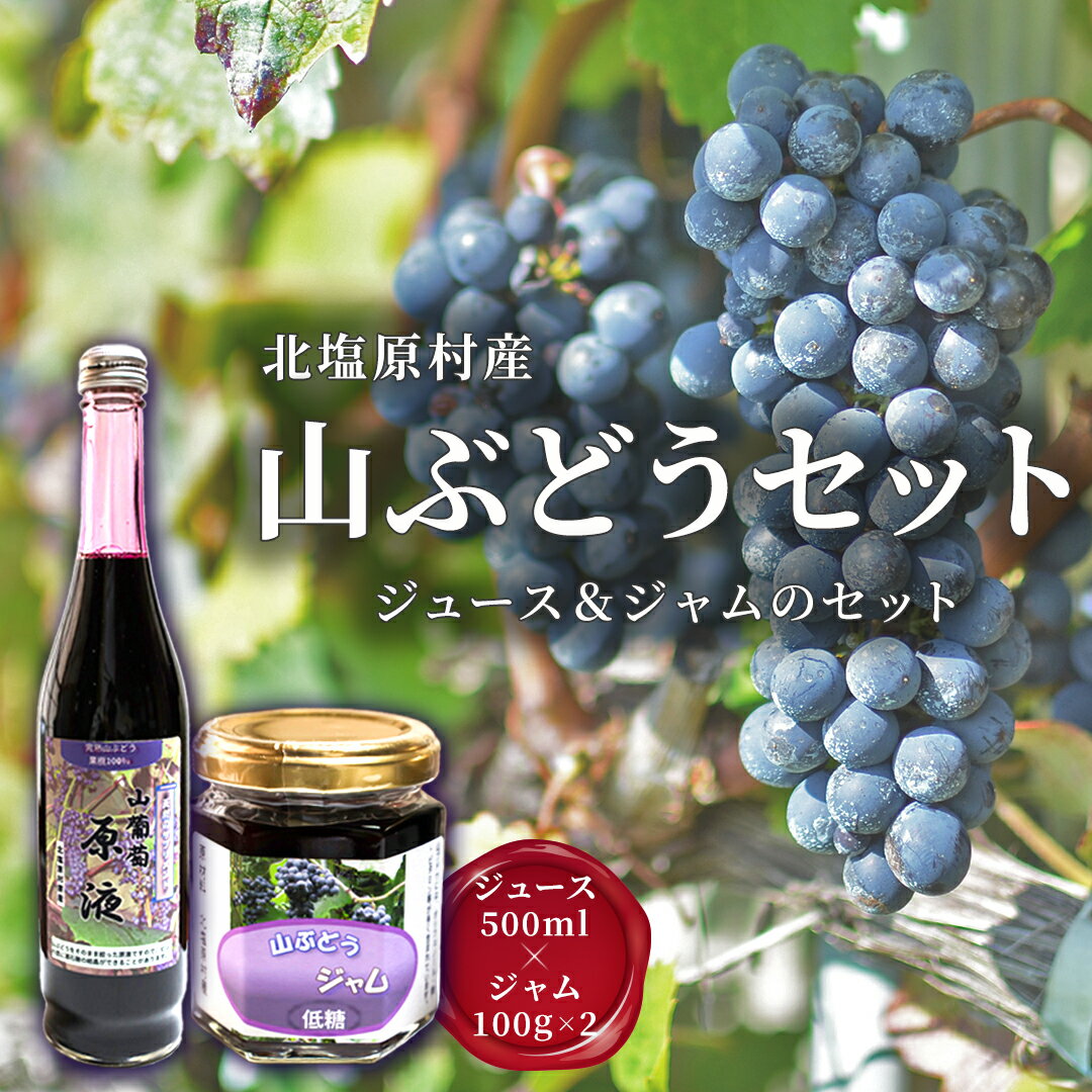 北塩原村産「山ぶどう」セット(山ぶどうジュース500ml 1本・山ぶどうジャム100g×2) [ ふるさと納税 人気 おすすめ ランキング ブドウジュース 果汁100% ジャム 低糖 果物 山ぶどう 山葡萄 ぶどう ブドウ 葡萄 福島県 北塩原村 送料無料 ]