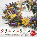 1位! 口コミ数「0件」評価「0」クリスマスリース【ハーブを使った自然風合い】(40cm) 【 ふるさと納税 人気 おすすめ ランキング クリスマス クリスマスリース ハーブ･･･ 