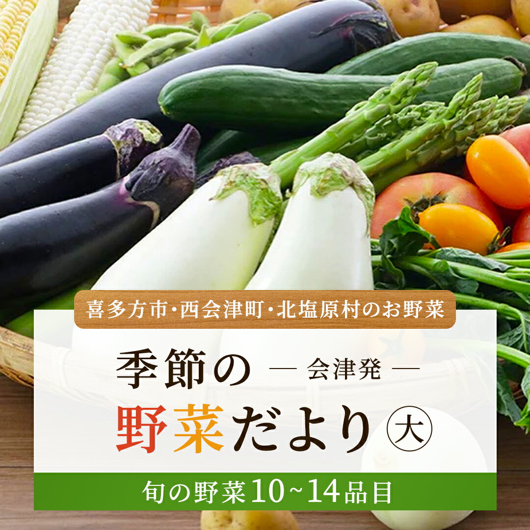 会津発 季節の野菜だより(大)2名様1週間分相当[喜多方市・西会津町・北塩原村のお野菜] [ ふるさと納税 人気 おすすめ ランキング 季節の野菜 会津 旬 野菜 北塩原村 喜多方市 西会津町 旬の野菜 セット 詰め合わせ 福島県 北塩原村 送料無料 ]