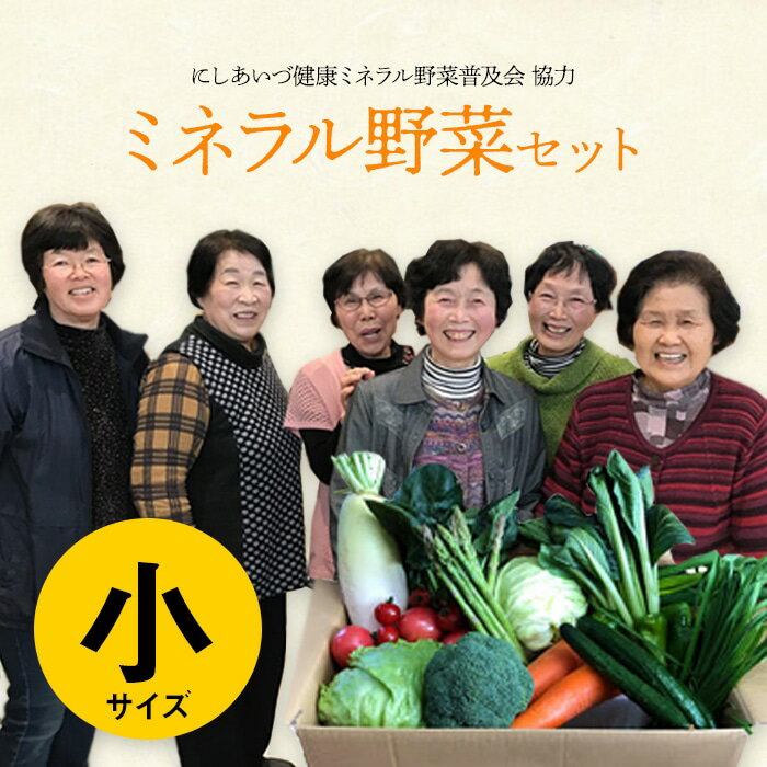 【ふるさと納税】 西会津ミネラル野菜セット（小） F4D-0