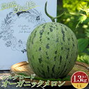 【ふるさと納税】 身体に美味しい農産物コンテスト「最優秀賞」受賞! 《先行予約》シルクロードオーガニックメロン 1.3kg以上 F4D-0005