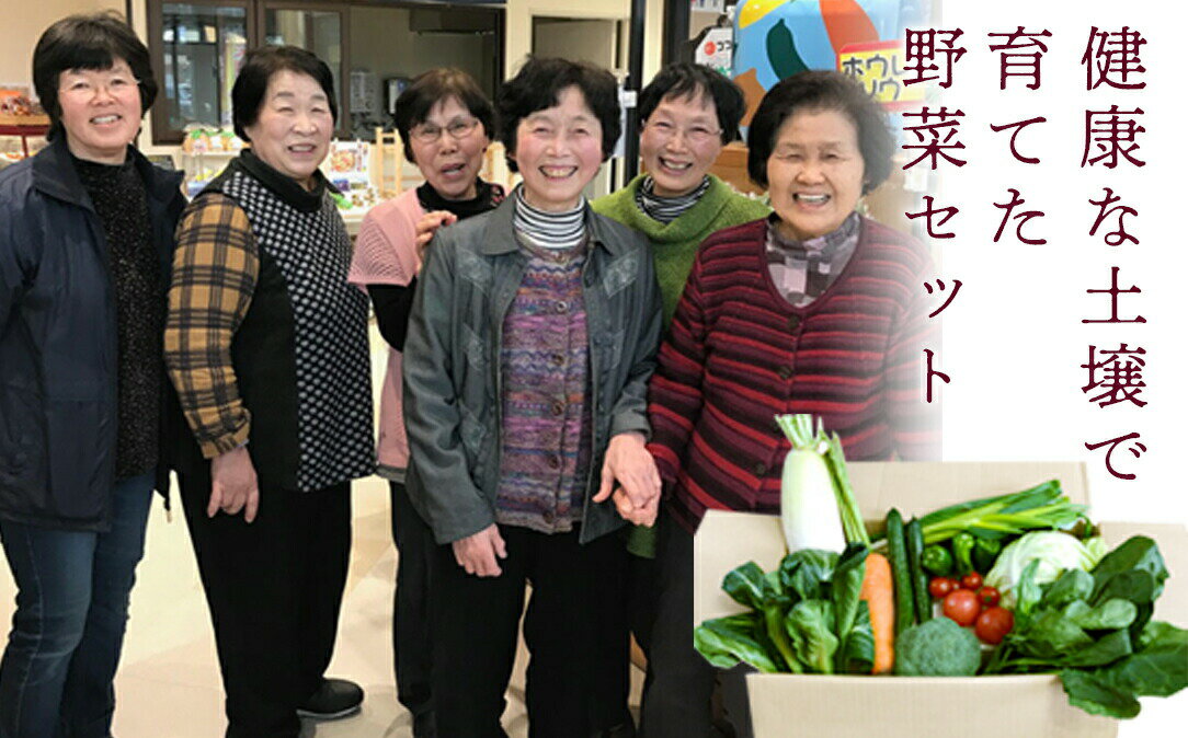 【ふるさと納税】 西会津ミネラル野菜セット（小） F4D-0