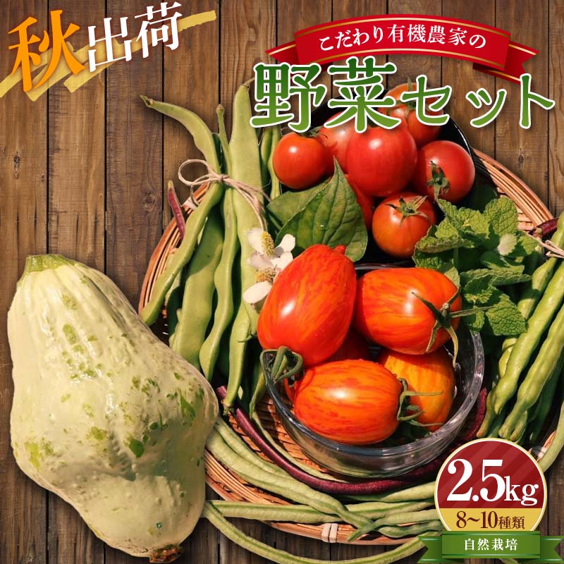 【ふるさと納税】《先行予約》<秋出荷>こだわり有機農家の野菜セット 2.5kg(8~10種類) 自然栽培 オーガニック 有機栽培 無農薬 野菜 セット 詰合せ 化学肥料不使用 動物性肥料不使用 先行予約 予約 食品 F4D-0131