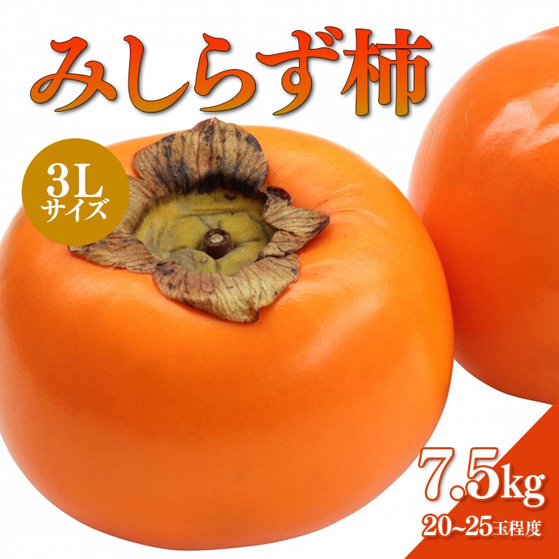 【ふるさと納税】【先行予約】みしらず柿 (3Lサイズ) 7.5kg詰め F4D-0209