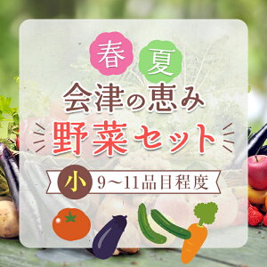 【ふるさと納税】春夏の会津発季節の野菜だより(小)<9〜11品目程度> 朝採れ 野菜 セット 詰合せ 契約農家 朝採り 採れたて 新鮮 会津野菜 食品 F4D-1407