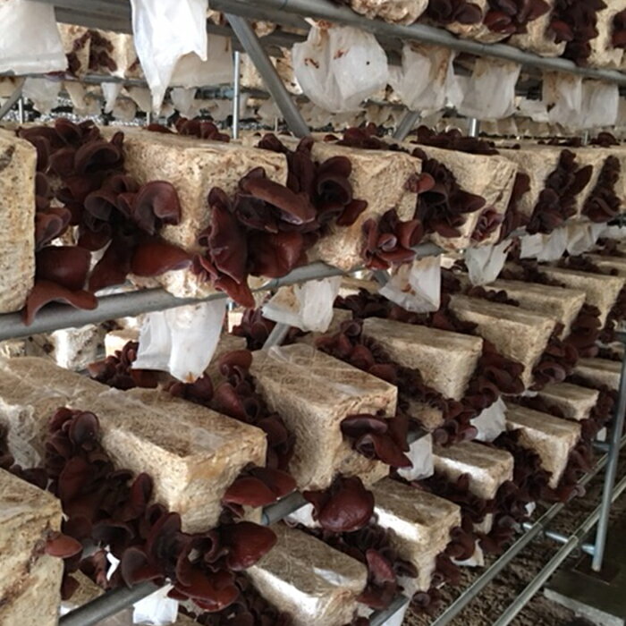 福島県西会津町の画像3