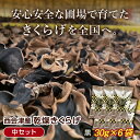 8位! 口コミ数「1件」評価「5」＜特選＞西会津産 乾燥きくらげ 中セット(黒30g×7袋) 完全無農薬 乾燥 きくらげ 国産 木耳 キクラゲ 食品 F4D-0227