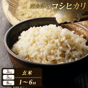 【ふるさと納税】《選べる定期便》令和7年産米 西会津産米「コシヒカリ」玄米 《選べる3kg・5kg・9kg》 米 お米 おこめ ご飯 ごはん 福島県 西会津町 ...
