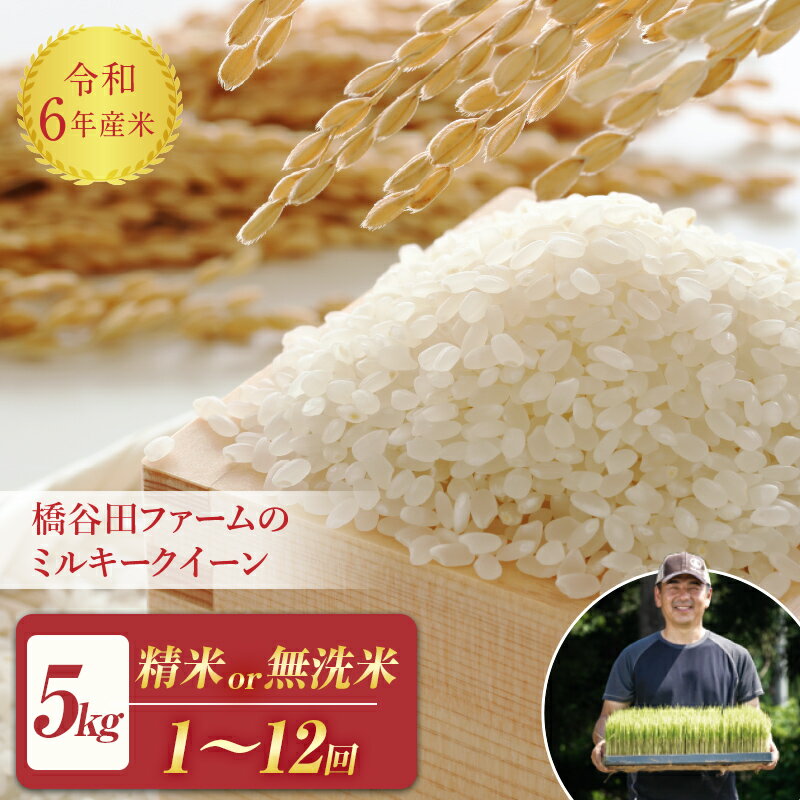 【ふるさと納税】【先行予約】《選べる精米方法・定期便》 減農薬・減化学肥料栽培 西会津産米 ミルキークイーン 精米 / 無洗米 5kg 米 お米 おこめ ご飯 ごはん 福島県 西会津町 F4D-0295var