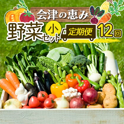 《定期便》＜3市町村共通返礼品＞会津の恵み野菜セット(小)《全12回》 朝採れ 野菜 お米 精米 米 セット 詰合せ 契約農家 朝採り 採れたて 新鮮 会津野菜 定期便 12回 12ヶ月 連続 F4D-0503