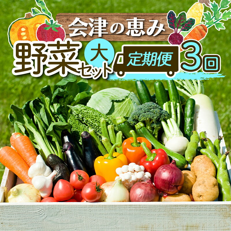 【ふるさと納税】《定期便》＜3市町村共通返礼品＞会津の恵み野菜セット(大)《全3回》 朝採れ 野菜 お...