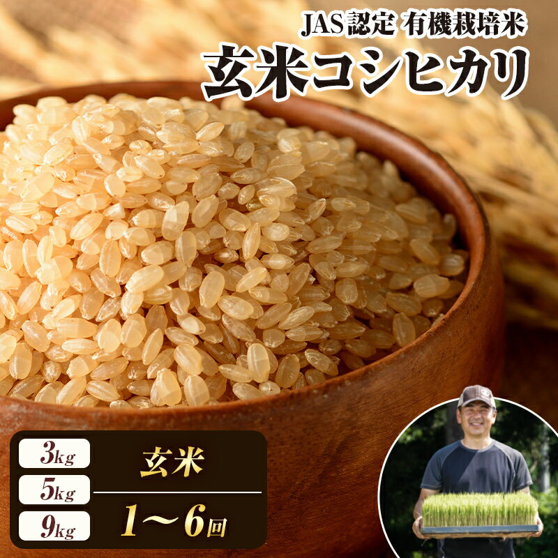 楽天市場】会津産 コシヒカリ 玄米30kgの通販 楽天市場】会津産 コシヒカリ 玄米30kgの通販