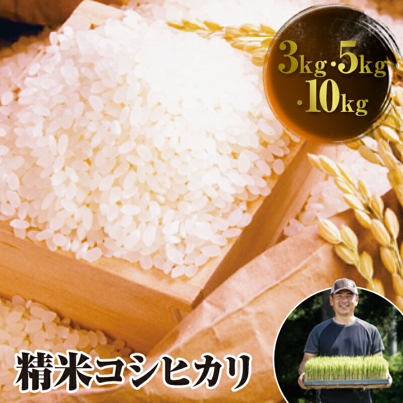 [選べる容量] 令和6年産 JAS認定 有機栽培米 コシヒカリ 精米 米 お米 おこめ ご飯 ごはん 福島県 西会津町 F4D-0728var