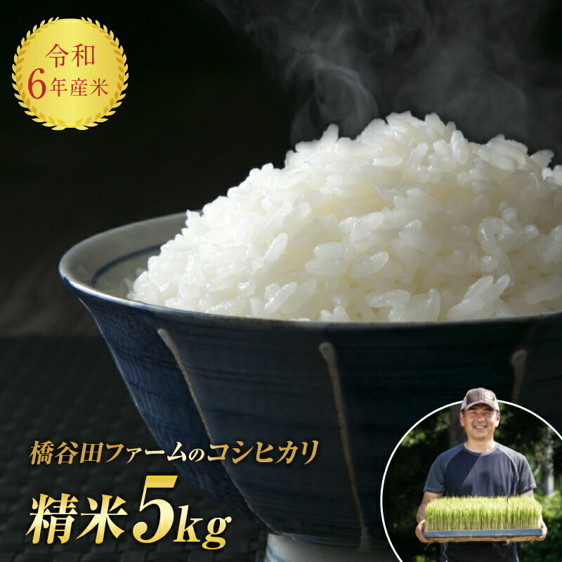 令和6年産 減農薬・有機肥料栽培 コシヒカリ 精米 5kg 米 お米 おこめ ご飯 ごはん 福島県 西会津町