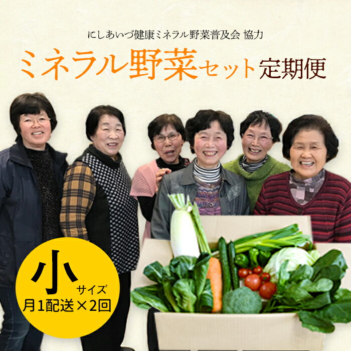 [定期便]西会津ミネラル野菜セット(小)[月1回配送×2ヶ月連続] 朝採れ 野菜 セット 詰合せ 契約農家 朝採り 採れたて 新鮮 定期便 2回 2ヶ月 連続 食品