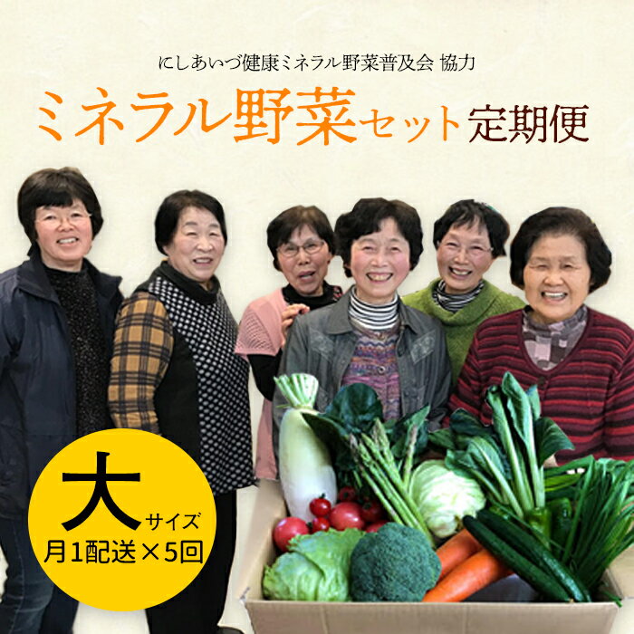 【ふるさと納税】《定期便》西会津ミネラル野菜セット(大)＜月1回配送×5ヶ月連続＞ 朝採れ 野菜 セッ...