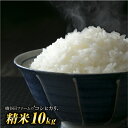 【ふるさと納税】《先行予約》令和2年産新米 コシヒカリ 精米...