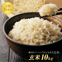 【ふるさと納税】令和3年産 コシヒカリ 玄米 10kg