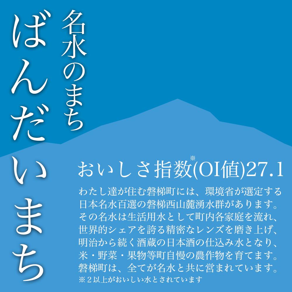 【ふるさと納税】【備蓄】磐梯のおいしい備蓄セット　水 パックライス 玄米 ナチュラルミネラルウォーター