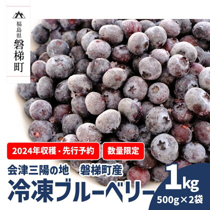 冷凍ブルーベリー 1kg 直径13mm以上　※2024年7月中旬～順次発送