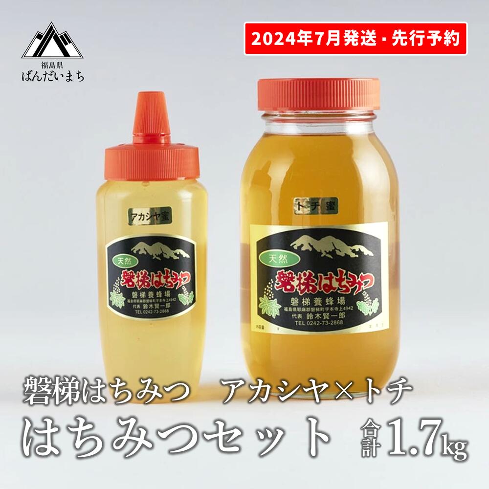 [先行予約]国産純粋はちみつ 天然 農林水産大臣賞 磐梯はちみつ 1200g[瓶] 1.2kg 500g[チューブ] 1700g 1.7kg はちみつセット トチはちみつ アカシヤはちみつ トチ アカシヤ トチ蜜 アカシヤ蜜 産地直送 無添加 ※2024年7月1日以降順次発送予定