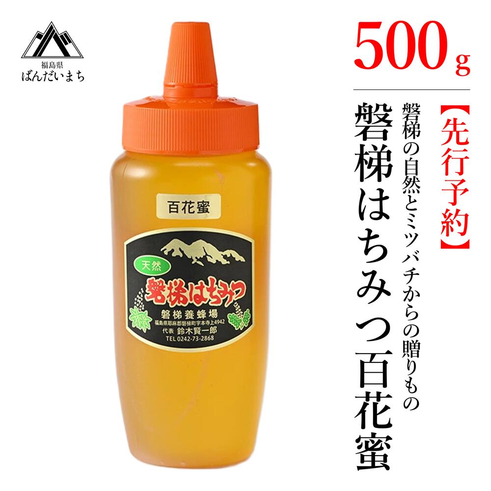 【ふるさと納税】【先行予約】国産はちみつ　磐梯はちみつ　百花蜜　500g　※2024年7月中旬以降順次発送予定