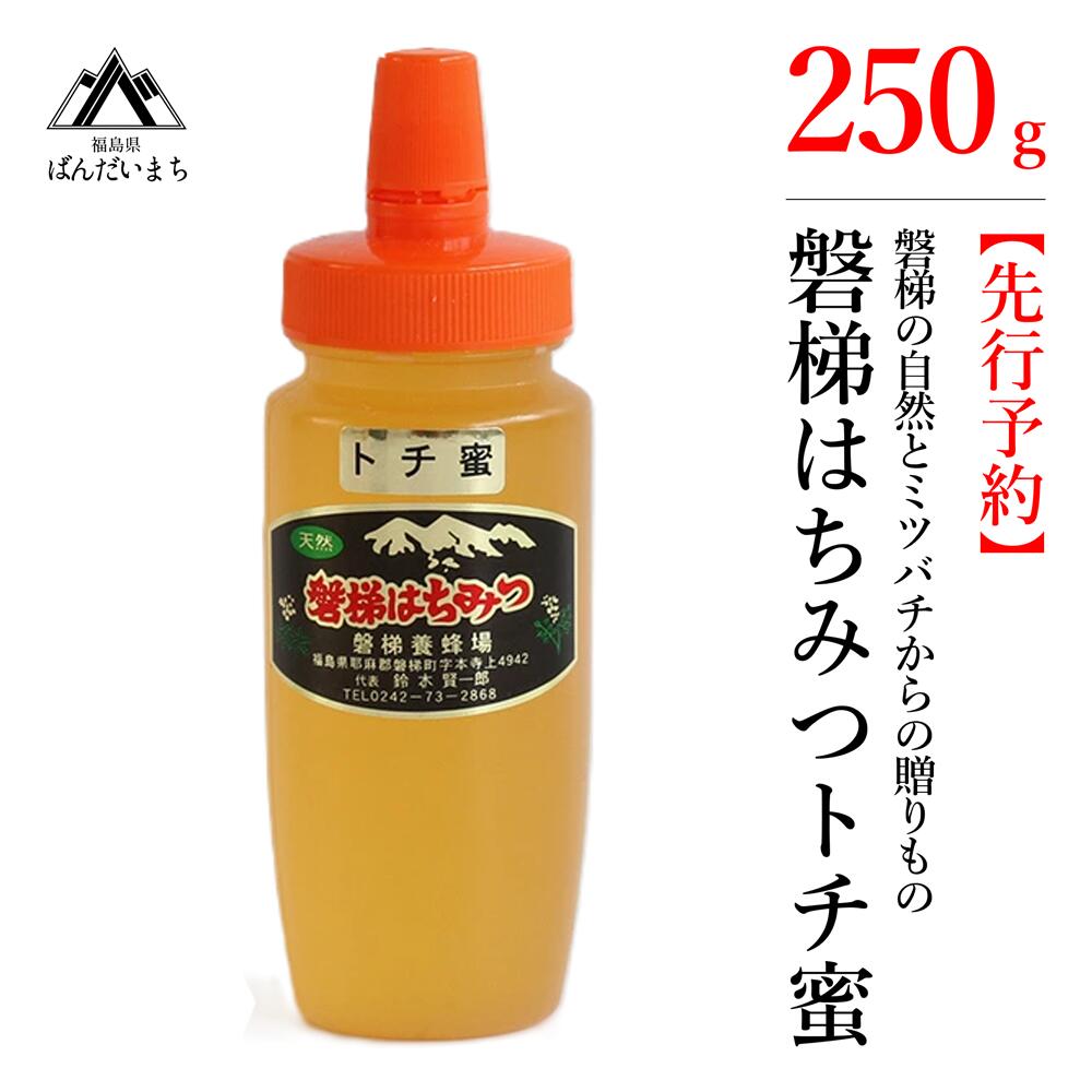 【ふるさと納税】【先行予約】国産純粋はちみつ 天然 磐梯養蜂 磐梯はちみつ 250g［チューブ］ トチは...