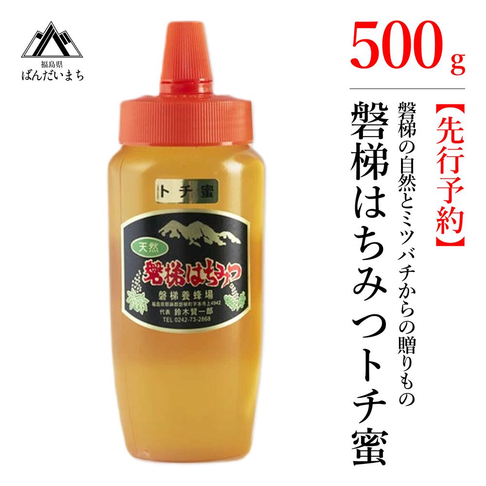 国産純粋はちみつ 天然 磐梯養蜂 磐梯はちみつ 500g［チューブ］ トチはちみつ トチみつ トチ蜜 蜂蜜 ハチミツ はちみつ HONEY ハニー 国産 産地直送 無添加　※2024年7月中旬以降順次発送予定