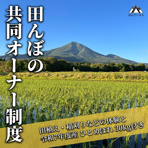 【ふるさと納税】田んぼの共同オーナー制度 田植え体験 稲刈り体験 ひとめぼれ30kg付き 【ふるさと納税】田んぼの共同オーナー制度 田植え体験 稲刈り体験 ひとめぼれ30kg付き