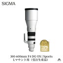 【ふるさと納税】SIGMA 300-600mm F4 DG OS | Sports(Lマウント、ソニーEマウント)超望遠 ズームレンズ *受注生産品
