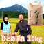【ふるさと納税】【令和5年度新米】ひとめぼれ10kg【磐梯山名水米ひとめぼれ】 10,000円