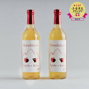 【ふるさと納税】【女性人気No.1】りんごカクテル りんご酒 Bandaisan Apple x Sake 720mL×2本 フルーツ酒 磐梯山 リンゴ アルコール8度 磐梯酒造一番人気 送料無料◇