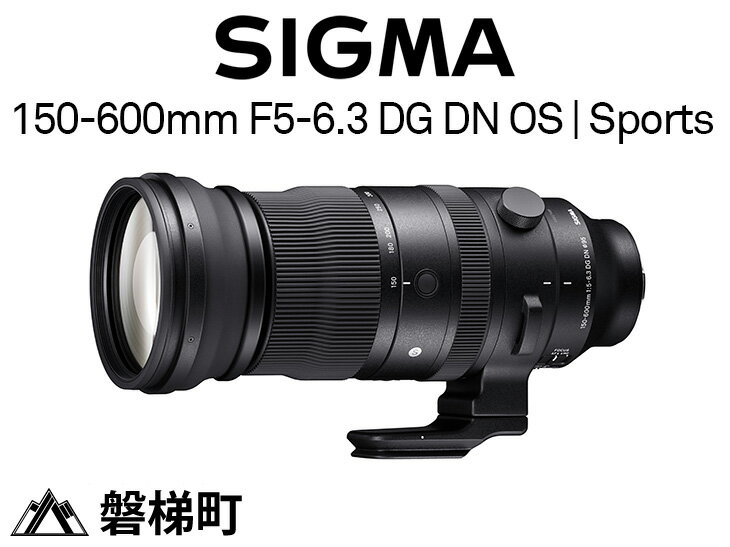 SIGMA 150-600mm F5-6.3 DG DN OS | Sports