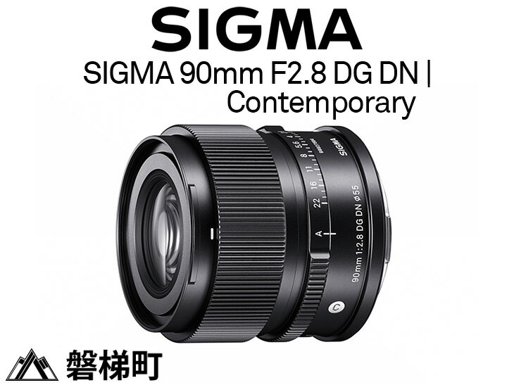 【ふるさと納税】SIGMA 90mm F2.8 DG DN 