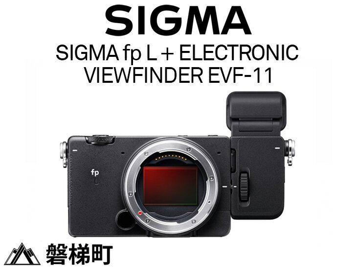 【ふるさと納税】SIGMA fp L + ELECTRONI