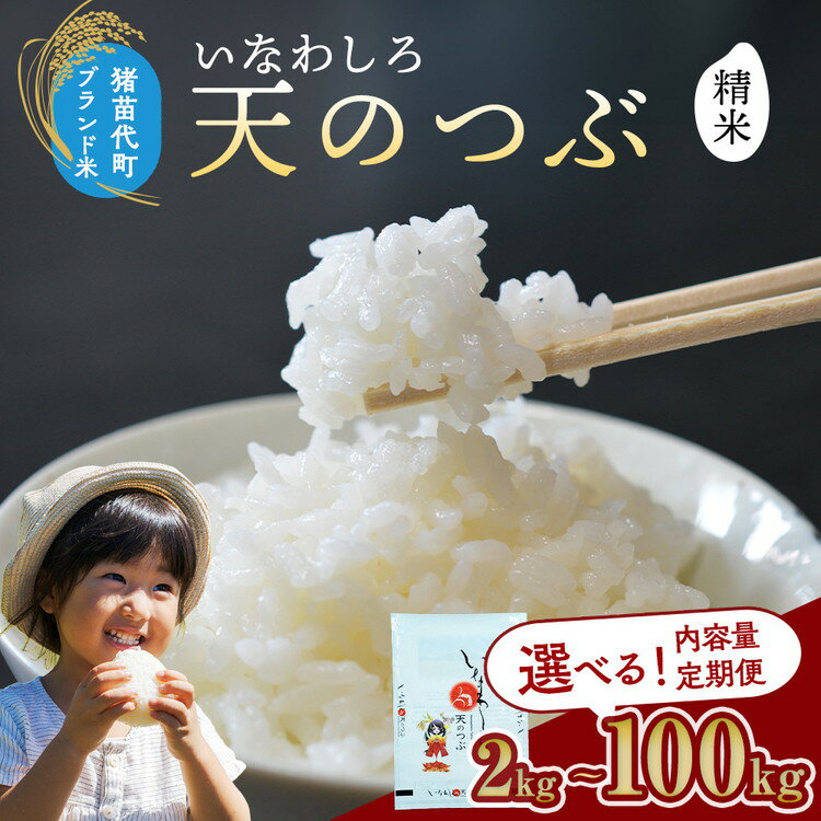 [選べる容量・配送回数]猪苗代町ブランド米 いなわしろ天のつぶ( 精米 ) 2kg〜20kg 単品・3ヶ月・6ヶ月・10か月定期便 | お米 白米 福島 大粒 寿司 和食 ※2025年10月中旬頃までに順次発送予定