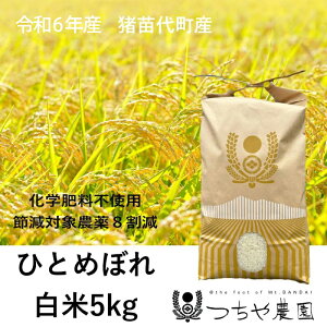 【ふるさと納税】【令和5年産】猪苗代町産 特別栽培米ひとめぼれ 5kg（精米）　【お米 米 ひとめぼれ 】　お届け：2023年11月1日～2024年10月31日