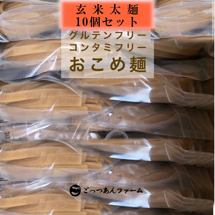 【ふるさと納税】どすこい麺(グルテンフリーなお米めん)玄米平太麺10個セット