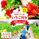 【ふるさと納税】\レビュー投稿でお米プレゼント/【選べる大人・こども】いちご狩り 1年中 「道の駅前 猪苗代 いちご園」 チケット | 苺 通年 猪苗代・会津地...