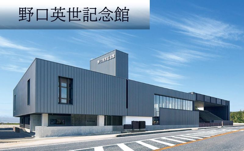 【ふるさと納税】野口英世記念館・感染症ミュージアム共通入館券　年間パスポート大人ペア　 チケット 入場券 体験型の展示 子供 大人 学び 博物館 お出かけ 体験型 年パス