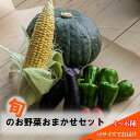 【ふるさと納税】\レビュー投稿でお米プレゼント/旬の野菜おまかせセット4〜6種 80サイズ箱でお届け | 猪苗代産 野菜 新鮮 野菜セット 農家直送 産地直送 ...