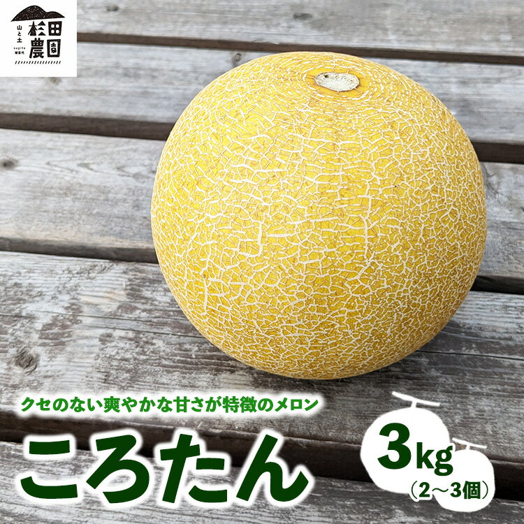 ＼レビュー投稿でお米プレゼント/「ころたん」メロン 3kg 2〜3個 ※沖縄・離島への配送不可 ※2025年8月上旬〜10月中旬頃に順次発送予定
