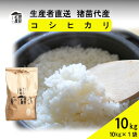 【ふるさと納税】【令和7年度産 新米予約】 米 コシヒカリ 10kg(10kg×1袋) 白米 精米 ※2025年11月下旬頃より順次発送予定 ※沖縄・離島への配送不可
