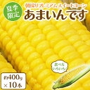 【ふるさと納税】夏季限定 朝採り プレミアムスイートコーン 「あまいんです」 10本 約4kg | 激甘 フルーツとうもろこし 産地直送 ※沖縄・離島への配送不可