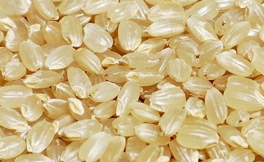 【福島県会津坂下町】会津の豊かなおくりもの。 丹念に育てたとっておきのお米です。定番のカレーやから揚げ、魚料理のお供に。炊き込みご飯などでも美味しく召し上がれます。　【ふるさと納税】3-J　里山のつぶ玄米30kg 令和7年産 特別栽培米 ｜ 福島県会津坂下町オリジナルの玄米。米の一粒一粒が大きく、しっかりした食感、適度なもちもち感と甘みのあるお米です。 ※2025年9月下旬頃より順次発送予定