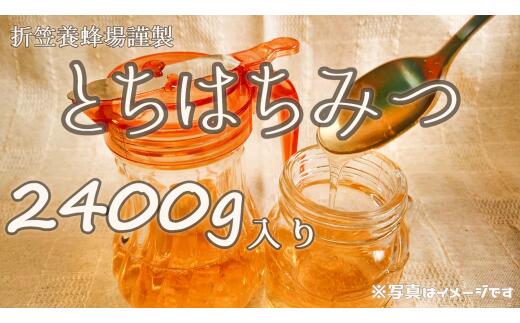 【ふるさと納税】6-B 折笠養蜂場 とちハチミツ 2400g