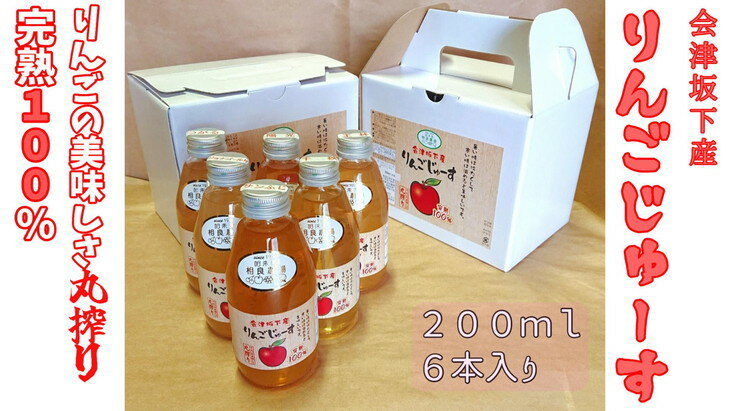 16-N 相良農場 りんごジュース200ml6本入り×2箱 (品種違い組み合わせ)小箱セット