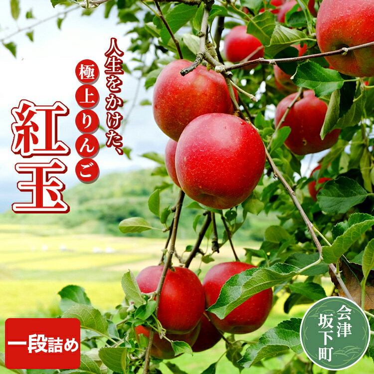 【ふるさと納税】17-F　[予約開始！]　荒明果樹園　人生をかけた、極上りんご（紅玉）5kg（一段詰め）｜ りんご リンゴ 林檎 果物 くだもの フルーツ 福島県 会津坂下町 ※2025年10月上旬頃より順次発送予定のサムネイル